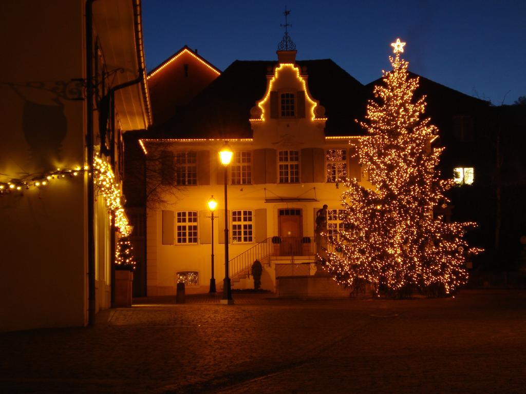 Hotel Gasthof Zum Ochsen Arlesheim Extérieur photo