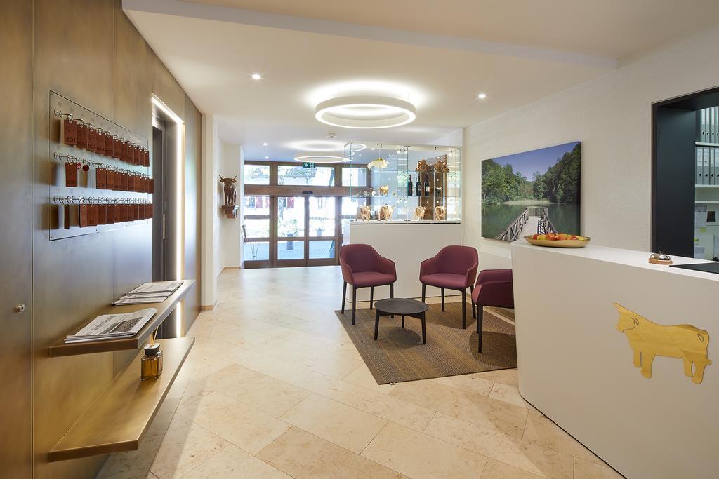 Hotel Gasthof Zum Ochsen Arlesheim Extérieur photo