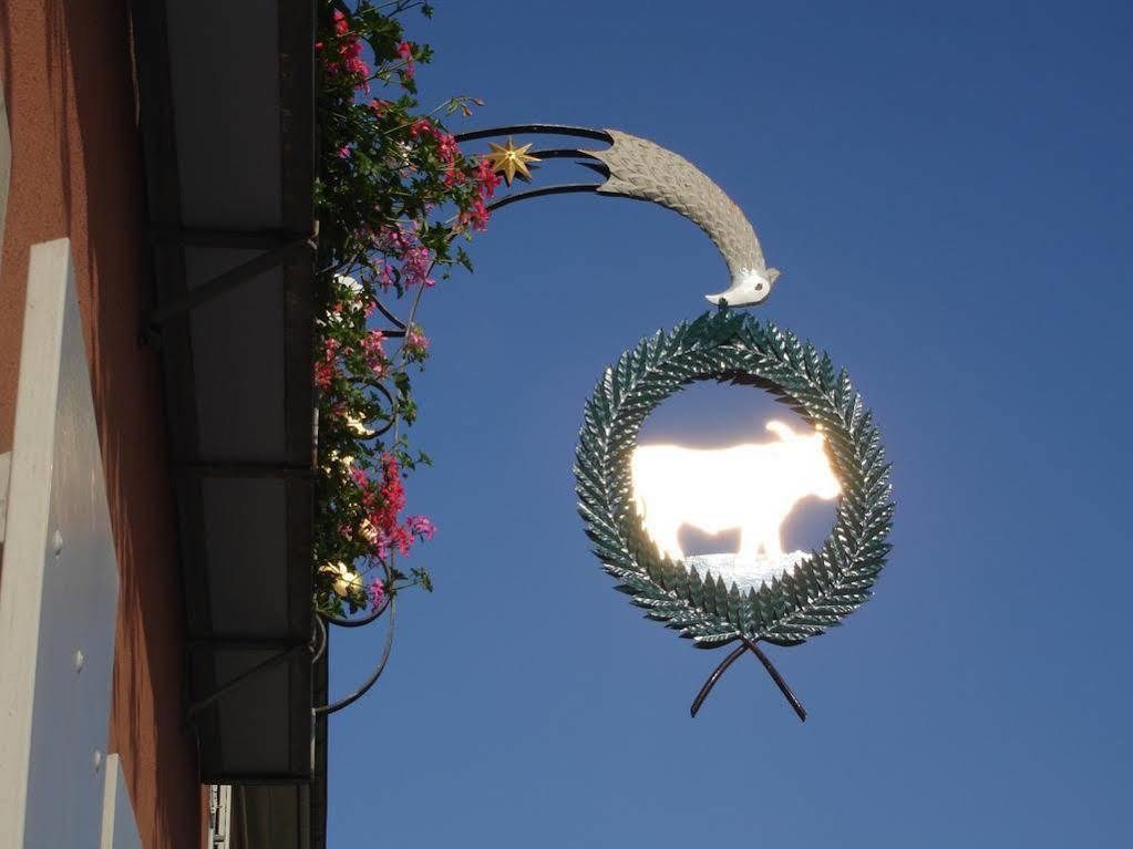 Hotel Gasthof Zum Ochsen Arlesheim Extérieur photo